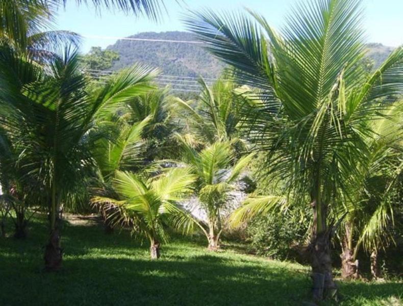 Pousada Colinas De Maricá Extérieur photo